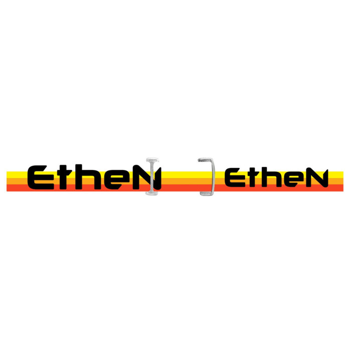 printed elastic - ELDR49